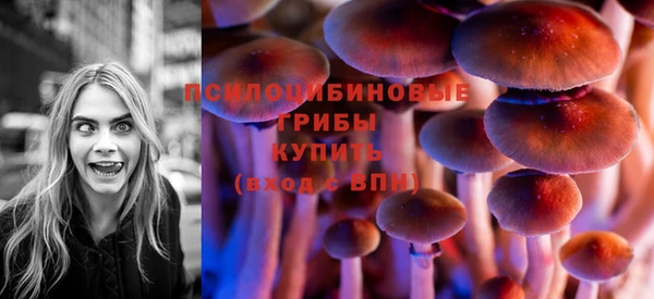 spice Кулебаки
