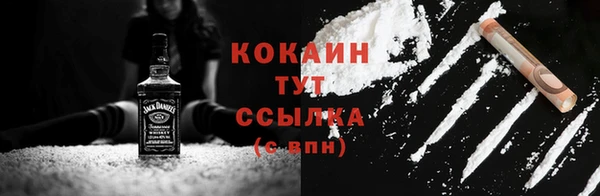 PSILOCYBIN Кукмор