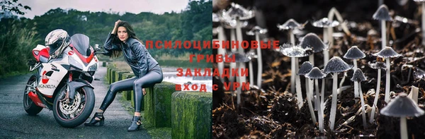 PSILOCYBIN Кукмор