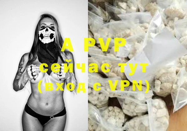 PSILOCYBIN Кукмор