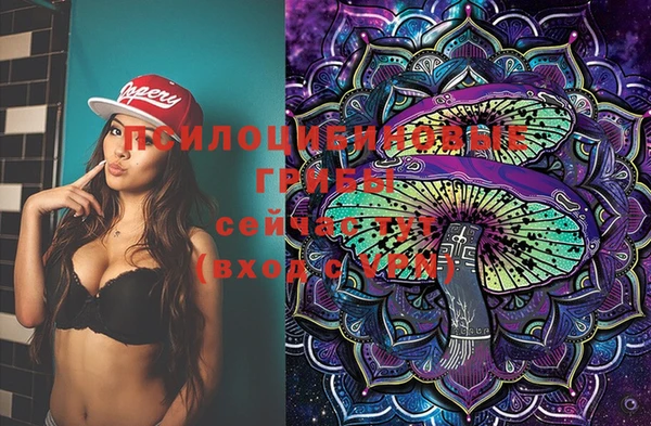 PSILOCYBIN Кукмор
