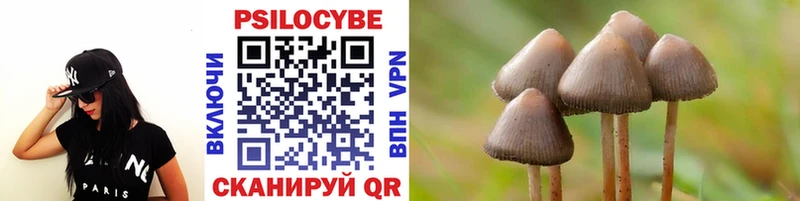 Купить закладки  Лянтор  Псилоцибиновые грибы мухоморы 